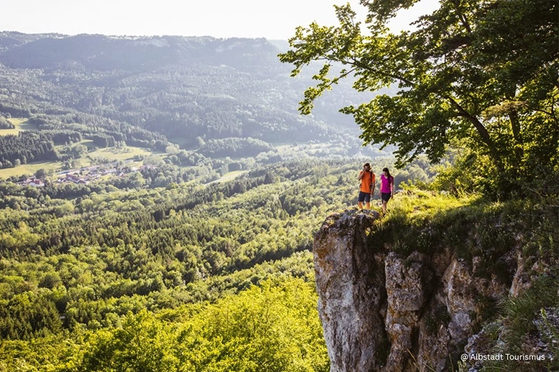 Two hikers standing on a rocky cliff overlooking a vast green valley and forested hills under a clear sky.