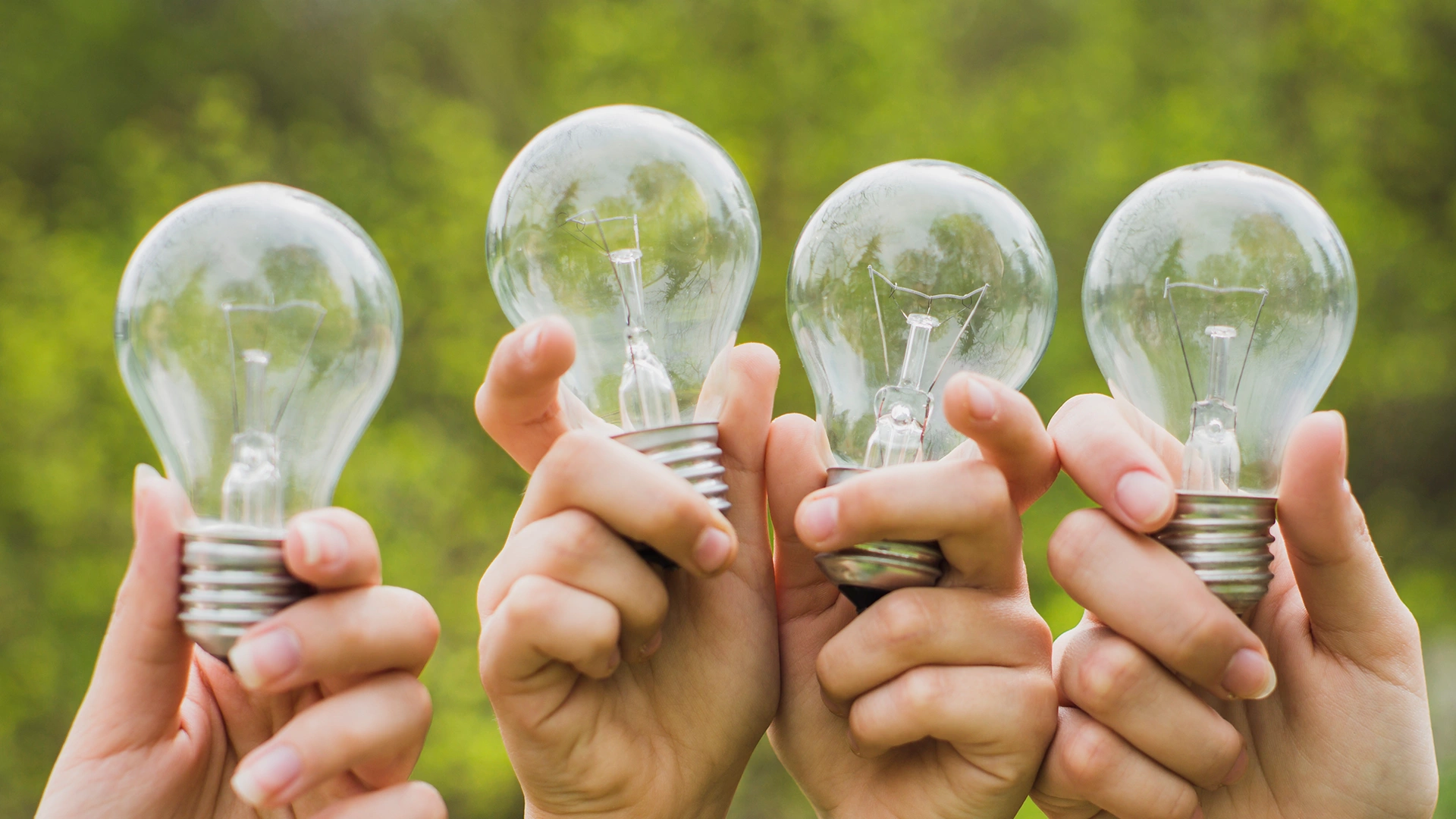 Stock photo of hands holding light bulbs.