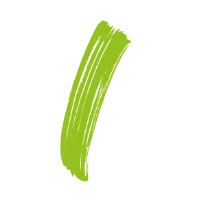 The number 